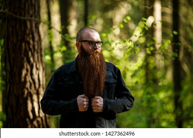 Bearded man. Portrait of an serious short-haired caucasian adult man with a very long beard in glasses on a sunny day outside in the dark forest in summer.