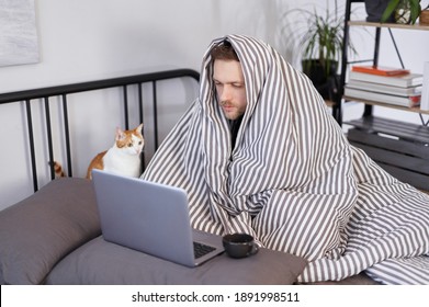 Bearded Young Man Using Laptop In Bed Full Covered With Blanket And White Ginger Cat Near Him. Concept Of Distant Work From Home Office Or Online Studying While Feeling Sick