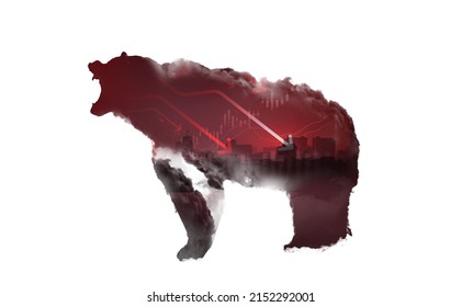 Bearish Market Trend Illustrated Bear Art