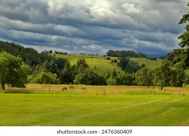 Beatiful landscape with fields and trees