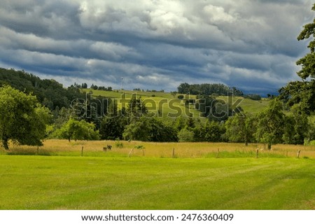 Beatiful landscape with fields and trees