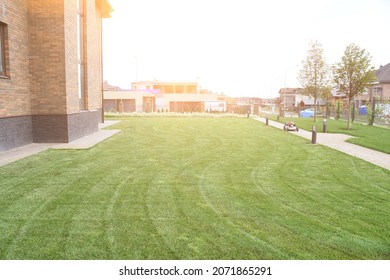 Beatiful Mowed Lawn On Privat Front Yard. A House Build Of Dark Brick With Grass Or Lawn Field With Stripes Pathway And Lawn Mower. Landscape And Garden Maintenanceand Service Business. Lawn Stripes