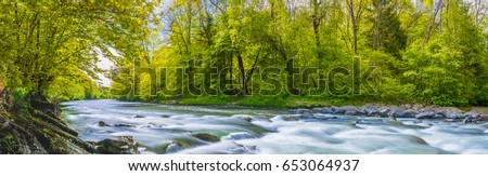 Beatiful panorama in nature with water in Switzerland in summer