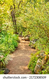 beatiful path at the park