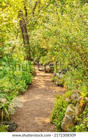 beatiful path at the park