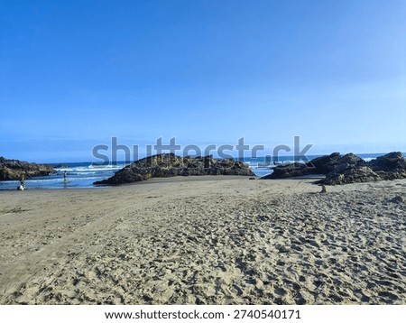 beatiful view alone of coast