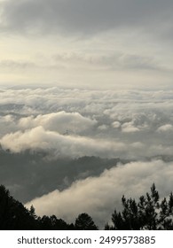 Beatiful view from the top of the Mountain