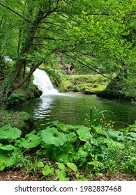 Beatiful waterfall in the forest