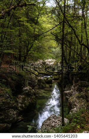 Similar – Green forest in the summer reflecting colors in a rive