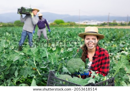 Beatiful woman farmer wearing a straw hat harvesting broccoli at a vegetable farm on a sunny spring day