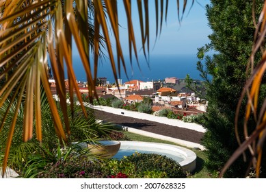 Beauiful garden in La Orotava - Jardines del Marquesado de la Quinta Roja, Tenerife, Canary Islands, Spain