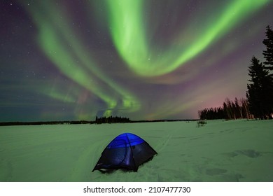 Beauitful aurora over the night sky with a blue tent below at Chena Lakes, Fairbanks, Alsaka