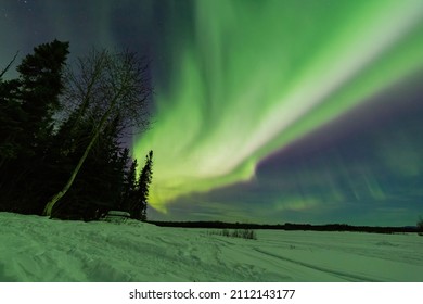 Beauitful aurora over the night sky at Chena Lakes, Fairbanks, Alsaka