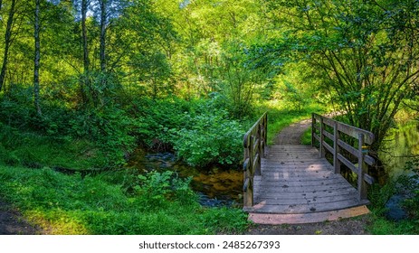 Beaumont-du-Lac, France - A wooden bridge crosses a small stream in a lush, green forest. - Powered by Shutterstock