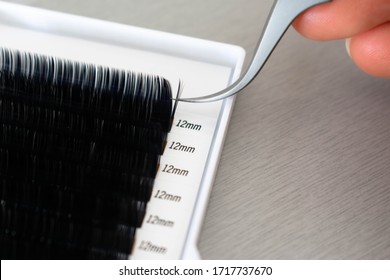 A Beautician Or Lash Artist Picking Up Lashes With A Pair Of Precision Tweezers To Make Volume Lashes Fans For The Beauty Treatment; Eyelash Extensions