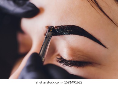 beautician- makeup artist applies paint henna on previously plucked, design, trimmed eyebrows in a beauty salon in the session correction. Professional care for face. - Shutterstock ID 1591491622