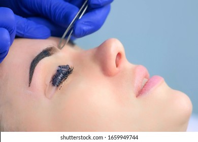 Beautician Plucking Eyebrows With Tweezers To Woman In Beauty Salon During Tint Eyebrow And Lash Laminating Procedure, Side View. Cosmetologist Shaping Girl's Eyebrows In Cosmetology Clinic.