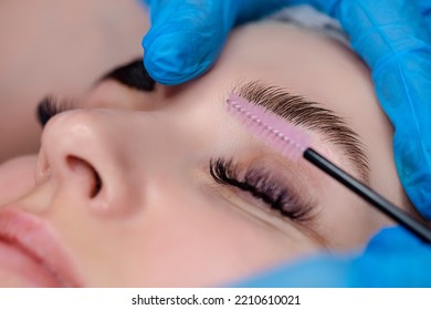 Beautician Tattooing Woman's Eyebrows Using Special Equipment During Process of Permanent Make-up Tidying Up Using Brush.Horizontal Image - Shutterstock ID 2210610021