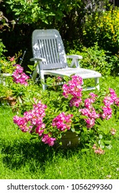 Liegestuhl Garten Images Stock Photos Vectors Shutterstock