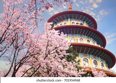 The Beautiflu Sakura Garden With Nice Sky In Taipei, Taiwan