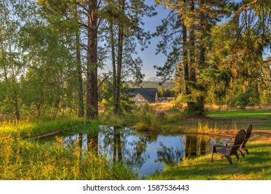 Beautifufl Large Cedar Home With Pond And Pine Trees.