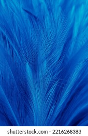 Hermosas plumas azules abstractas