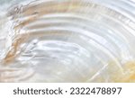 beautiful abstract close-up seashell background texture