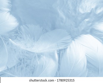 3,259,834 Feather Stock Photos, Images & Photography | Shutterstock