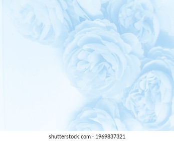 Beautiful abstract light blue flowers on white background, white flower frame,  blue leaves texture, gray background, valentines day, love theme, blue gradient texture