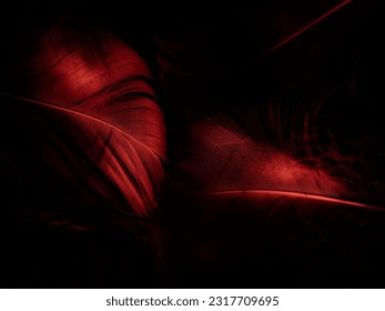 Beautiful abstract light pink feathers on black background, red feather frame on pink texture pattern, pink background, love theme wallpaper and valentines day, white gradient