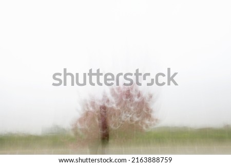 Similar – lonely tree Nature