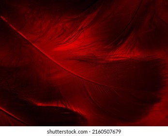 Beautiful abstract red feathers black background  yellow feather texture colorful pattern   red background  orange feather wallpaper  love theme  wedding valentines day  red gradient