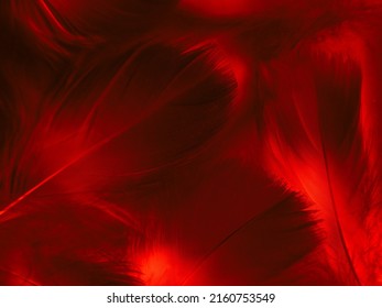 Beautiful abstract red feathers on black background, yellow feather texture on colorful pattern and red background, orange feather wallpaper, love theme, wedding valentines day, red gradient - Shutterstock ID 2160753549