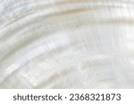 Beautiful abstract white pearl texture background texture