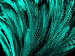 Turquoise Feather Abstract | Abstract Stock Photos ~ Creative Market