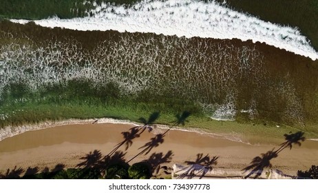 Beautiful aerial footage of bursting wave of Pacific Ocean near tropical shore with exotic trees