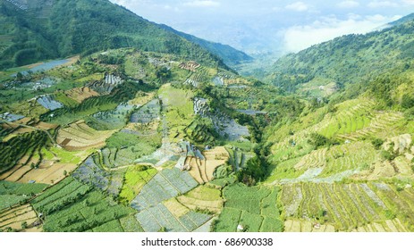 Beautiful Aerial Landscape Of Agricultural Land With Terraced System In The Dieng Plateau, Central Java, Indonesia