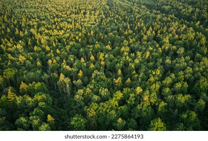 Beautiful aerial landscape on green backdrop. Beautiful scenery. Beautiful natural landscape. Natural background. Air transportation. Aerial view. Top view. - Powered by Shutterstock