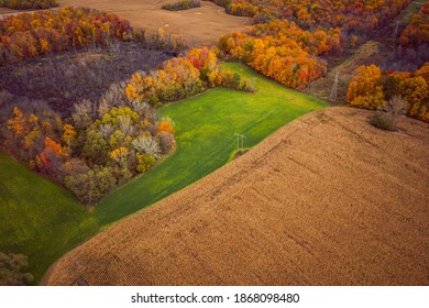 Beautiful Aerial Photograph Of Green And Golden Farm Fields In Indiana In Fall With Colorful Red, Yellow And Orange Autumn Foliage Or Leaves On The Forests Of Trees Scattered Across The Landscape.