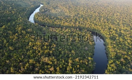 Beautiful aerial shot of Cambodia's jungle, mangrove forest and river in the Cardamom