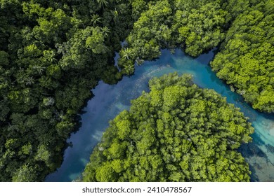 Beautiful aerial view of green mangroves or tropical forest in Thailand. - Powered by Shutterstock