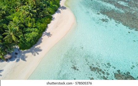 Beautiful aerial view of Maldives tropical beach with palms and white sand. Travel and vacation concept