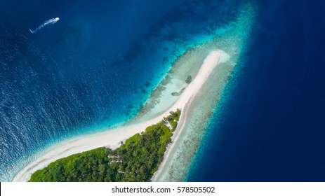 Beautiful aerial view of Maldives tropical beach with palms and white sand. Travel and vacation concept