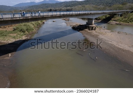 Beautiful aerial View of the Tarcoles river and bridge, with lots of crocodiles and alligators in Costa Rica