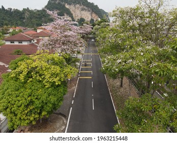 Sakura Malaysia Images, Stock Photos u0026 Vectors  Shutterstock