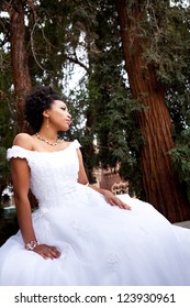 Beautiful African American Bride In The Park