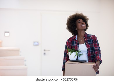 Beautiful African  American Girl Moving In The New Apartment