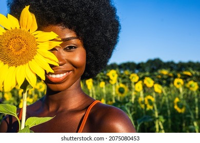 Beautiful african american woman with curly afro style hair in a sunflowers field 