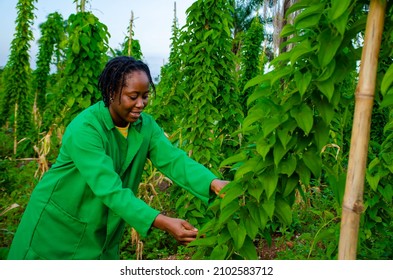 beautiful african farmer feeling excited about her farm produce