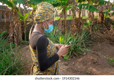 
A Beautiful African Female Farmer With Nose Mask, Checking Her Smartphone With A Hoe Hanging From Her Shoulder In Her Pineapple Farm